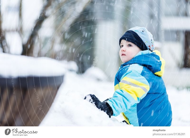 Boy in the snow Lifestyle Joy Face Playing Winter Snow Winter vacation Garden Child Human being Masculine Toddler Boy (child) Infancy 1 1 - 3 years 3 - 8 years