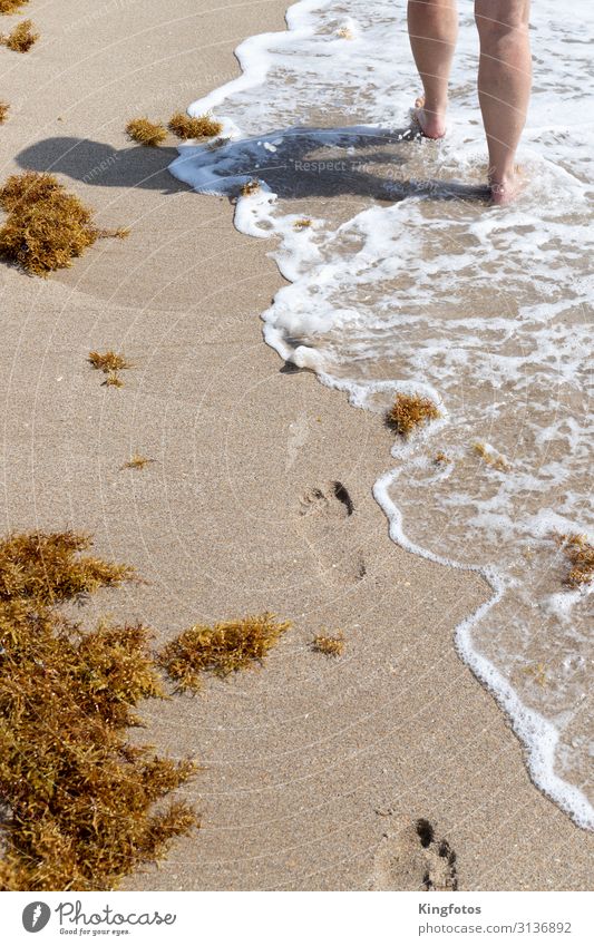 beach walk Vacation & Travel Trip Summer Summer vacation Sun Beach Ocean Waves Human being Legs 1 Environment Nature Sand Water Coast Lakeside Footprint Going