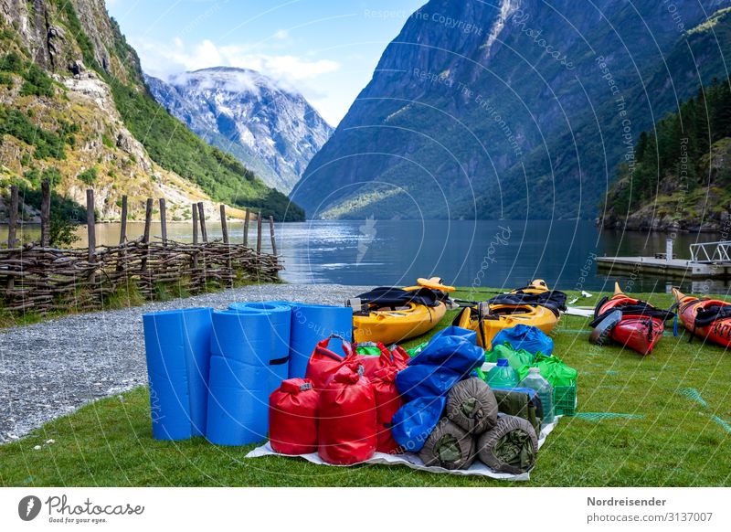 Canoeing along the fjord Lifestyle Vacation & Travel Adventure Expedition Ocean Sports Aquatics Nature Landscape Water Summer Beautiful weather Grass Meadow
