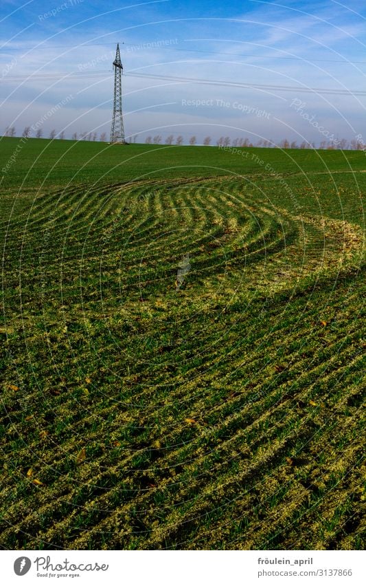 field waves Grain Environment Nature Landscape Earth Sky Spring Autumn Climate change Beautiful weather Plant Agricultural crop Grain field Field Growth Wait