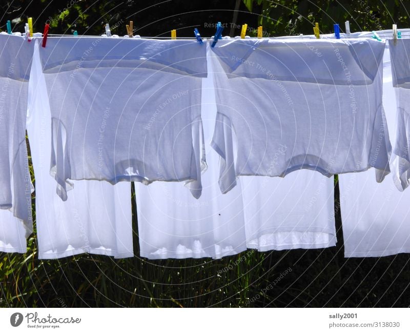 Whitewash day... Clothing T-shirt Underwear Clothes peg Clothesline Hang Clean Dry Housekeeping Washing Hang up Exterior shot Colour photo Day Sunlight
