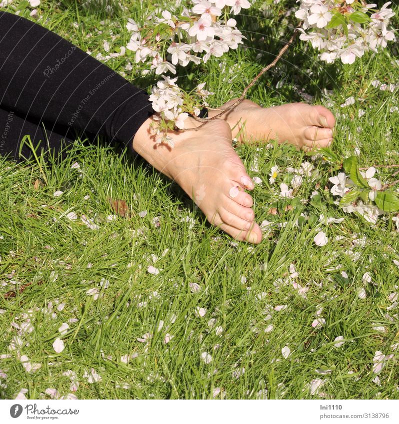Under the cherry tree Feminine Woman Adults Legs Feet 1 Human being Nature Plant Spring Beautiful weather Tree Grass Blossom Garden Park Green Black White