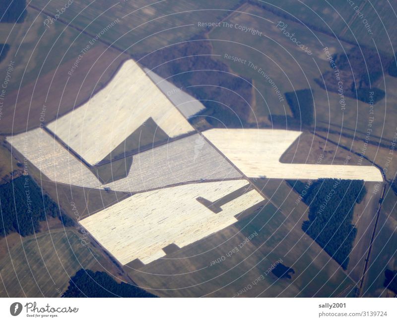 Geometry in agriculture Agriculture Field acre extension Growth White colored Multicoloured geometric Pattern shape Landscape Environment Aerial photograph