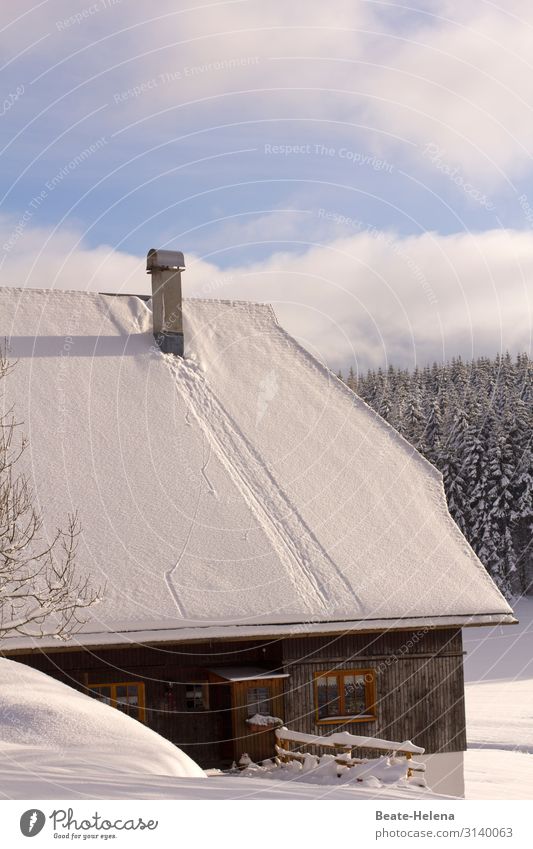 Black Forest house in winter Lifestyle Living or residing House (Residential Structure) Agriculture Forestry Nature Landscape Sky Clouds Winter