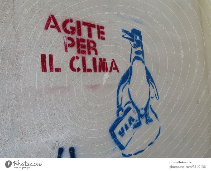 Climate Crisis: Italian graffiti saying: Fight for the climate Art Work of art Climate change Weather Animal Graffiti Good Modern Blue Red Help Fear of death