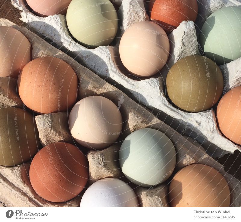 naturally colored hen's eggs Food Hen's egg Nutrition Organic produce Feasts & Celebrations Easter Eggs cardboard Exceptional Fresh Healthy Delicious Near