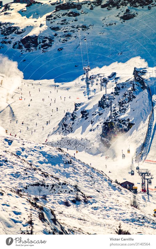People skiing in a mountain slope in a sunny day of winter Lifestyle Sports Skis Ski run Human being Crowd of people To enjoy Athletic Cool (slang) Authentic
