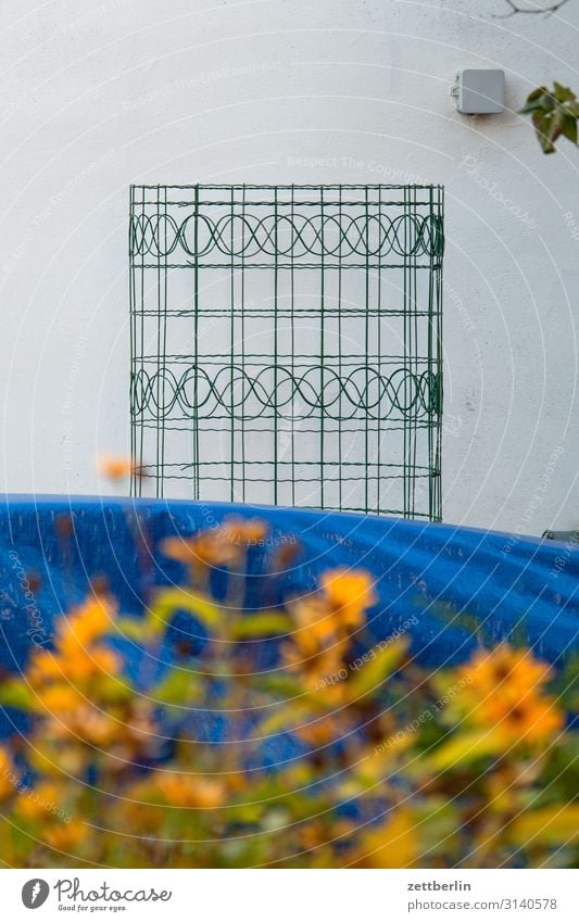 Wire mesh with pattern Wire netting Wire netting fence Fence Wire fence Pattern Design Creeper Tendril Coil Border Garden Neighbor Flower Blossom Blossoming