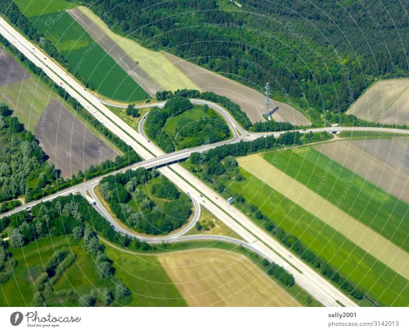 Motorway exit... Highway Highway ramp (exit) Street Transport Long distance traffic Traffic infrastructure Driving Road construction Infrastructure Forest Field