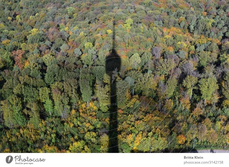 TV tower in autumn Architecture Nature Landscape Autumn Forest Stuttgart Town Deserted Manmade structures Tourist Attraction Television tower Tall Perspective