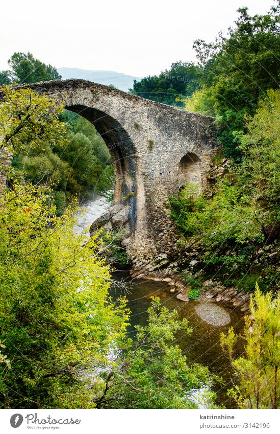 A medieval bridge in campania, italy Vacation & Travel Tourism Mountain Landscape River Ruin Bridge Street Stone Historic cilento Campania Italy calore gorges