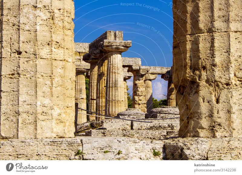 Internal view of greek Temple of Hera-II. Paestum, Italy Vacation & Travel Tourism Art Culture Ruin Architecture Stone Religion and faith column Poseidonia