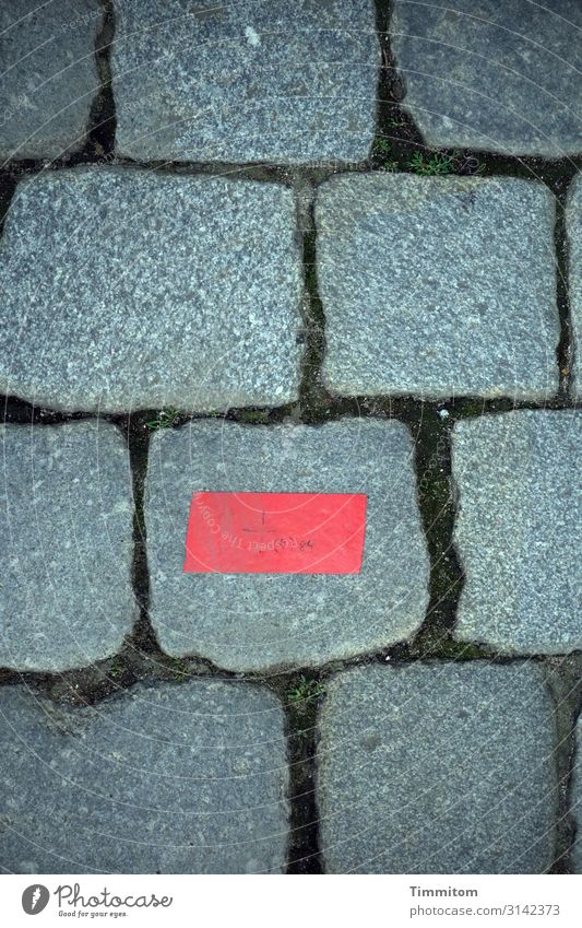 Paving stone with red marking Places Stone Gray Red Structures and shapes Cobblestones Floor covering interstices stickers Deserted