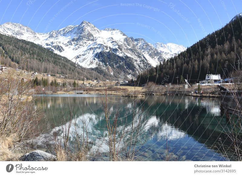 Village pond in Sulden am Ortler Landscape Water Cloudless sky Spring Winter Beautiful weather Alps Mountain Snowcapped peak Pond suffer Italy South Tyrol