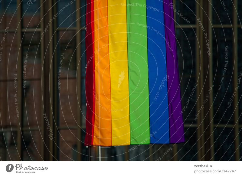 rainbow flag Multicoloured Flag Colour Colour luminosity Colour value Play of colours Color gradient Rainbow Prismatic colors Rainbow flag Rainbow cloth