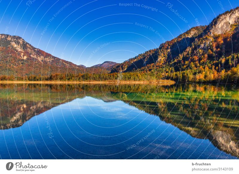 Reflection in the lake Mountain Hiking Nature Landscape Sky Autumn Beautiful weather Tree Leaf Forest Alps Lake Loneliness To enjoy Environment