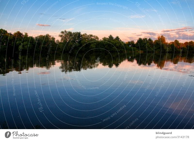 Lake and trees in the evening sky. Reflection reflection Water Inland waters Forest sunset Nature Landscape Calm Deserted Colour photo Environment