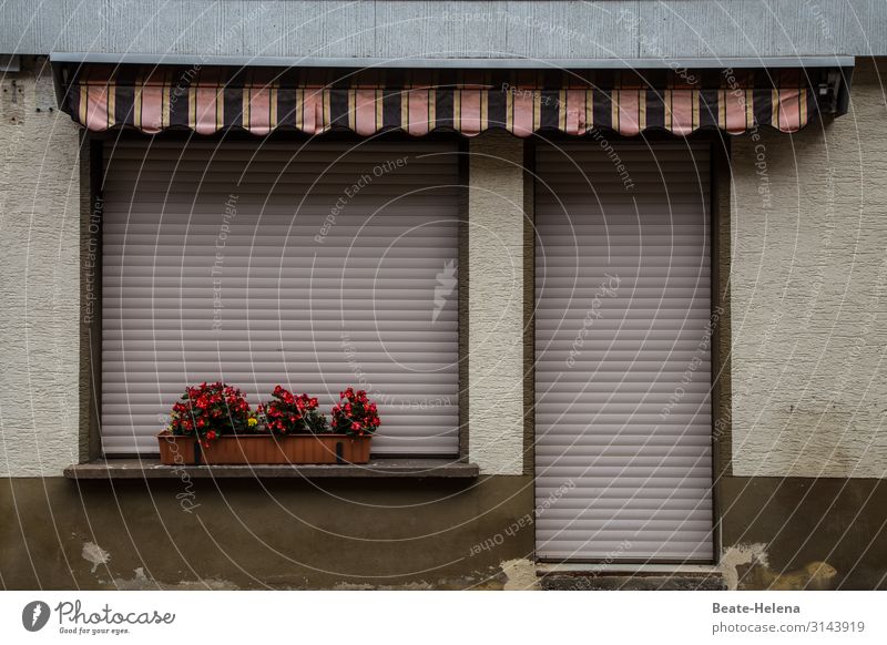 away - orphaned Flat (apartment) Balcony shutters Closed goes on a trip flower decoration Facade House (Residential Structure) Gloomy Gray Living or residing