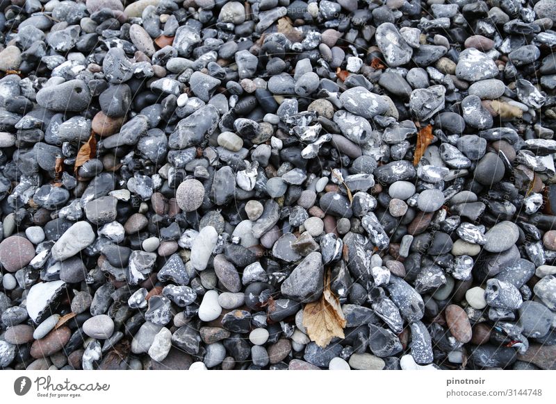 beach pebbles Beach Environment Nature Autumn Coast Baltic Sea Ocean Stone Maritime Horizontal Tide Gray scale value Background picture Structures and shapes