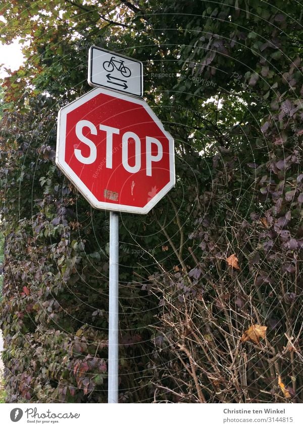 Stop sign and traffic signs Cross cyclists Nature Autumn Bushes Road sign Authentic Sharp-edged Near Above Brown Gray Green Red White Environment Lanes & trails