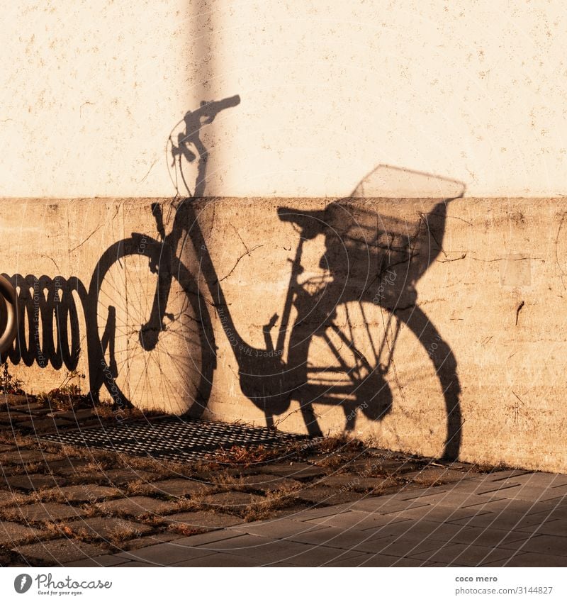 shadow wheel Cycling Wall (barrier) Wall (building) Bicycle Brown Black Shadow play Colour photo Subdued colour Exterior shot Day Contrast Central perspective