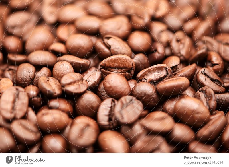 Close-up of Arabica coffee beans Coffee Espresso Lifestyle Luxury Brown Esthetic Colour photo Detail Deserted Artificial light Shallow depth of field