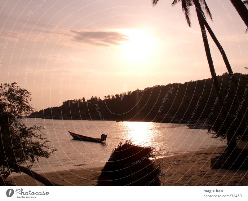 Chalok Ban Kao Bay Beach Sunset Watercraft Ocean Palm tree