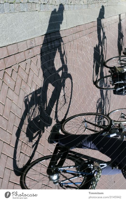 Dynamic | with shadow and dynamo Bicycle Cycling Shadow Street Paving stone Cycle path bicycle dynamo 3 Transport Traffic infrastructure Driving Mobility