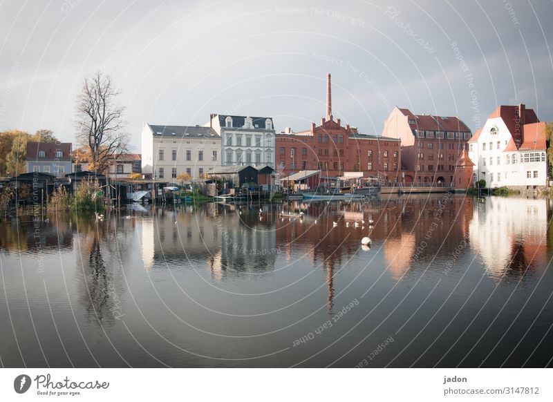 the city in the river (4). Elegant Style Tourism Water Cloudless sky Beautiful weather Tree Coast River Town House (Residential Structure) Industrial plant