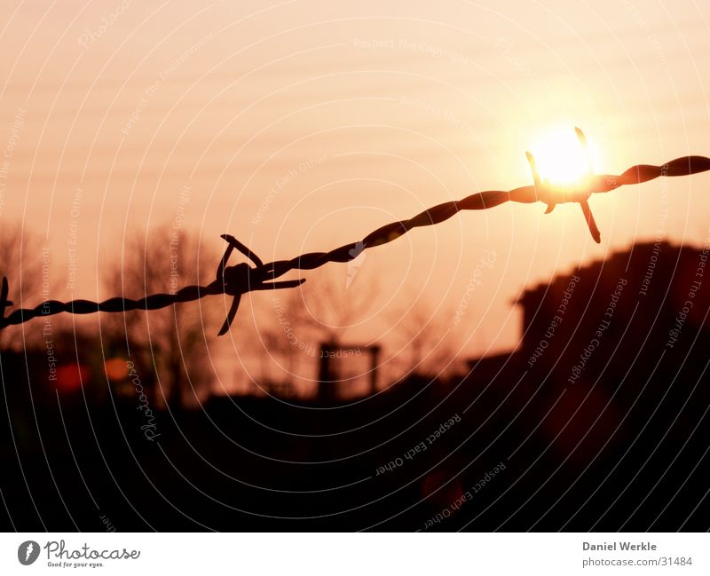 Sun in barbed wire Barbed wire Sunset Dusk Evening Orange