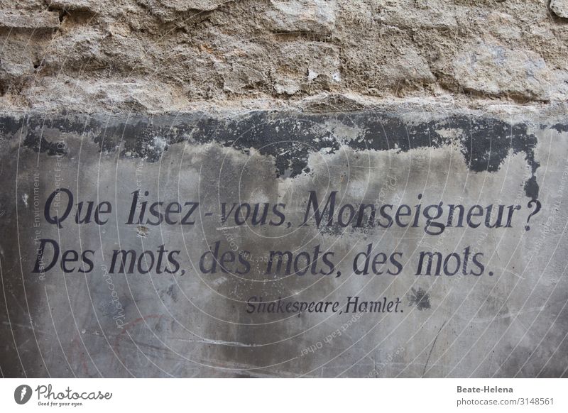 Nothing but words - inscription on the banks of the Loire River Inscription quay wall Motschweiher Hamlet Shakespeare Reading stones stonewalled Education Book