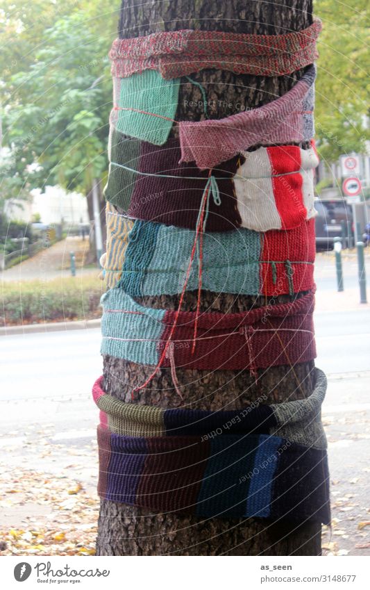 scarf Environment Nature Plant Autumn Climate Climate change Weather Tree Town Street Scarf Authentic Friendliness Hip & trendy Multicoloured Pink Red Turquoise