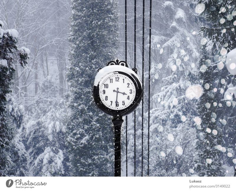 Winter time - clock Clock Weather Ice Frost Snow Snowfall Park Small Town Elegant Discover Inspiration Art Nostalgia Beautiful Time Day Light