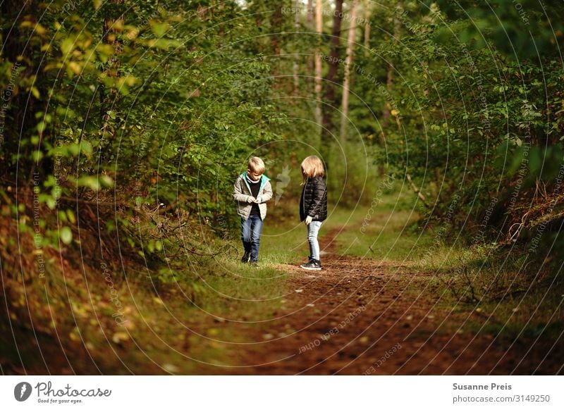 Children discover forest Human being Toddler Girl Boy (child) Brothers and sisters Sister Infancy 2 3 - 8 years Environment Nature Landscape Autumn Weather