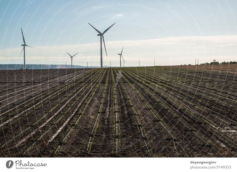 Wind generator in agriculture land. Summer Industry Technology Environment Nature Landscape Earth Sky Clouds Sustainability Blue Energy turbine electricity