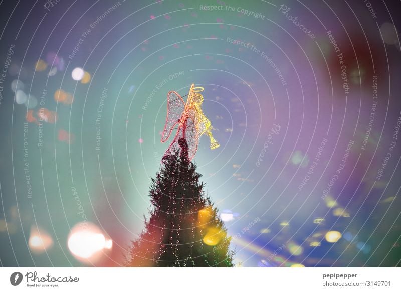 giant Christmas tree Winter Christmas & Advent Trade Androgynous Event Music Dortmund Town Downtown Tourist Attraction Landmark Dress Halo Angel Multicoloured