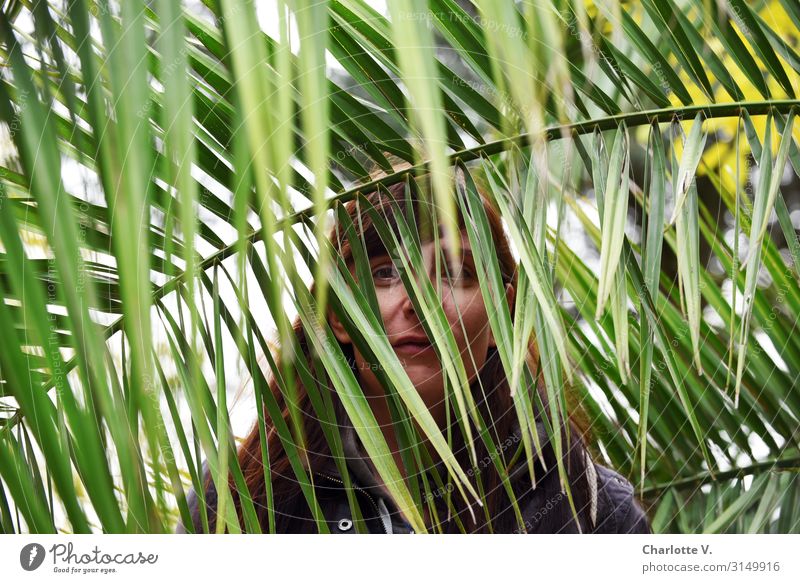 In the jungle | UT HH19 Human being Feminine Woman Adults 30 - 45 years Nature Plant Foliage plant Wild plant Exotic Palm frond Palm tree Brunette Observe