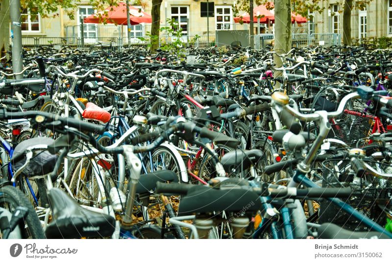 Lots of bicycles at Göttingen railway station Lifestyle Joy Healthy Athletic Cycling Bicycle Machinery Technology Renewable energy Energy crisis Subculture