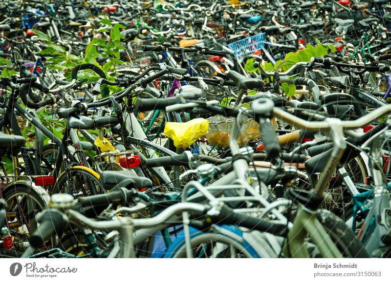Lots of bicycles at Göttingen railway station Healthy Athletic Life Tourism Environmental protection CO2 neutral ecology Sports Fitness Sports Training Cycling