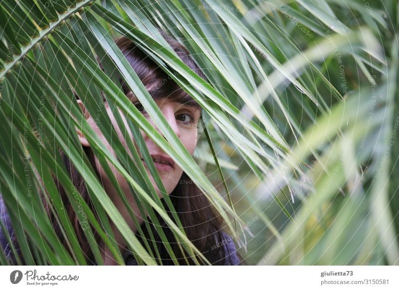Curious | UT HH19 Young woman Youth (Young adults) Woman Adults Life Human being 30 - 45 years Foliage plant Exotic Palm tree Palm frond Brunette Long-haired