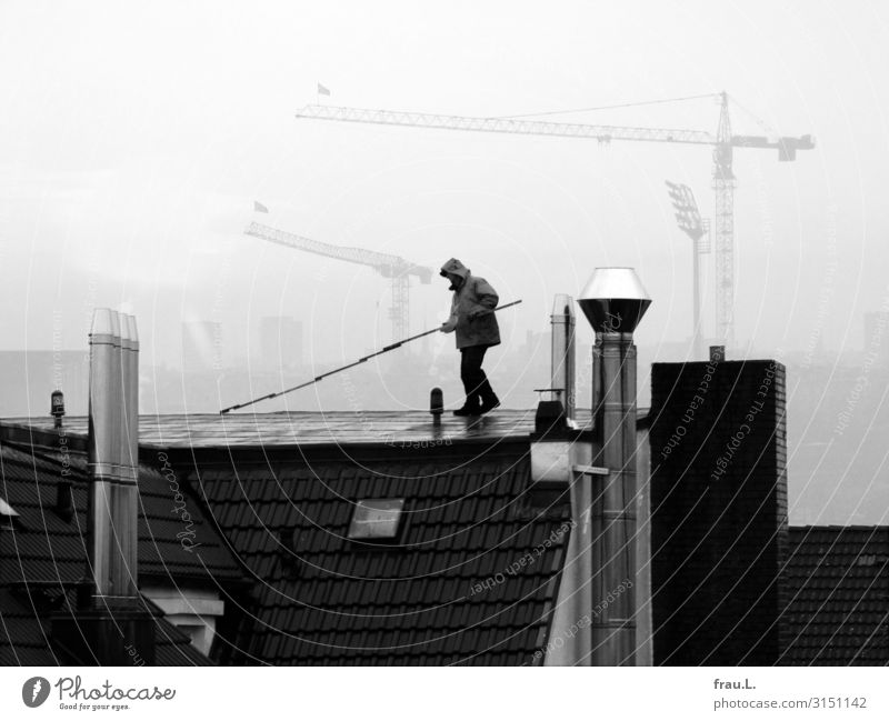 roofer Work and employment Craftsperson Construction site Craft (trade) SME Masculine Man Adults 1 Human being 30 - 45 years Authentic Town Integrity Diligent