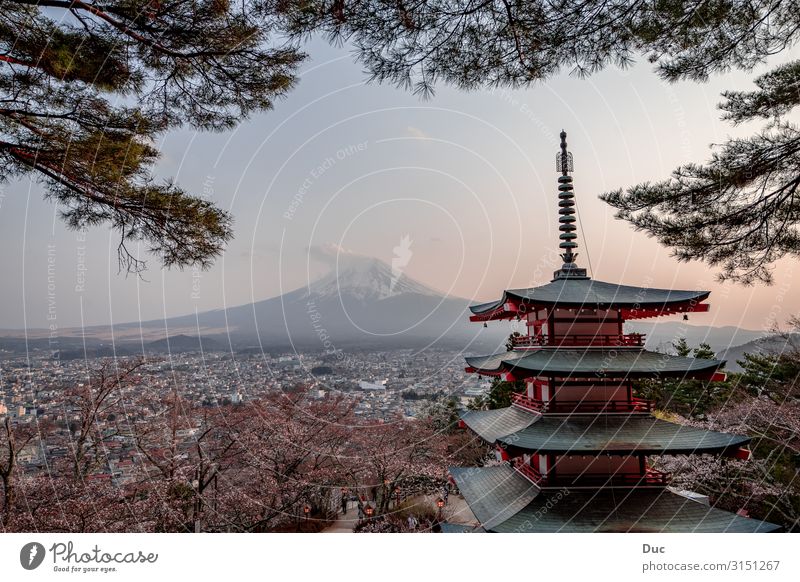 Sunset at Mt. Fuji with some cherry blossoms Architecture Landscape Sunrise Spring Mountain Snowcapped peak Volcano Japan Asia Tower Temple Pagoda Japanese