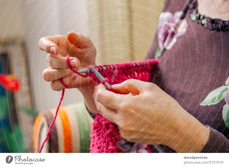 Hands of woman knitting a wool sweater Design Relaxation Leisure and hobbies Handicraft Handcrafts Knit Living room Work and employment Craft (trade)