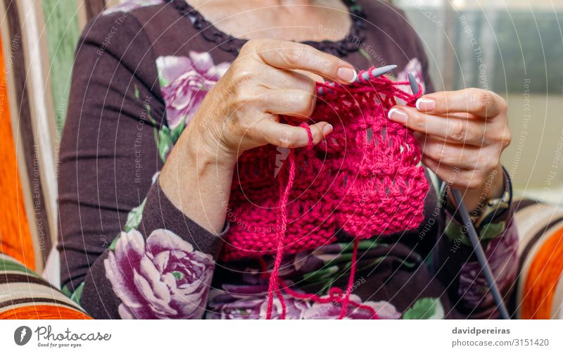 Hands of woman knitting a wool sweater Design Relaxation Leisure and hobbies Handicraft Handcrafts Knit Living room Work and employment Craft (trade)