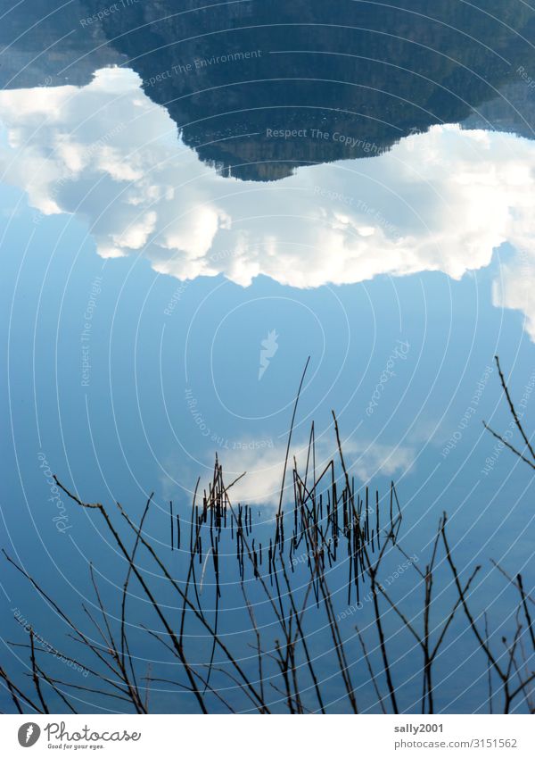 upside-down world... reflection Reflection Lake smooth Calm mountain reed Clouds Water Inverted inverted world Winter Surface of water Lakeside Water reflection