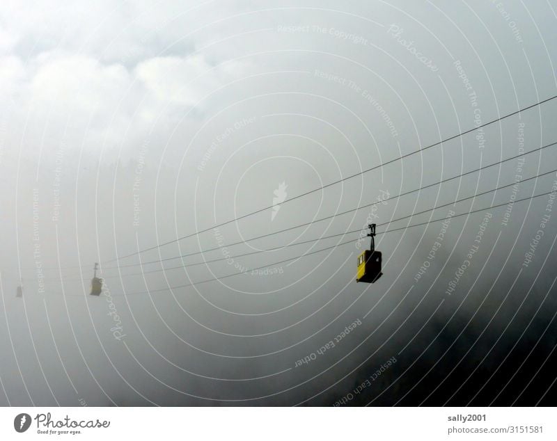 upward Clouds Climate Alps Cable car Gondola Driving Exceptional Threat Dark Adventure Loneliness Contentment Mobility Logistics Fog Misty atmosphere Sea of fog
