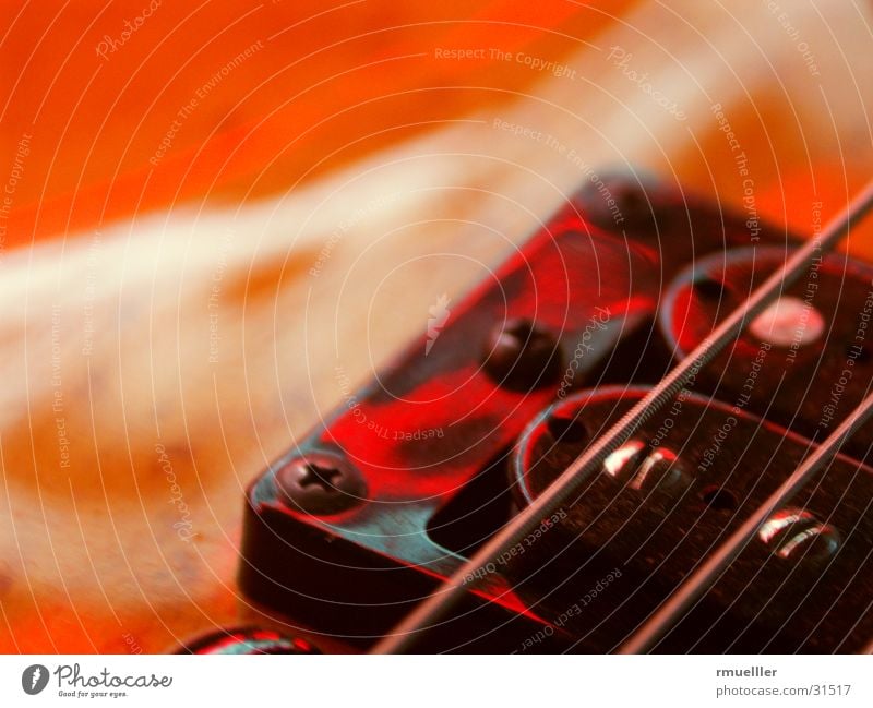 Red Strings Musical instrument string Things Acoustic Pick-up head Sound Leisure and hobbies Guitar Macro (Extreme close-up) Tone Joy