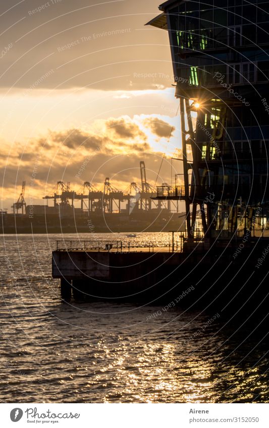 Evening mood | UT Hamburg Closing time Shipyard Dockyard crane Water Sunrise Sunset Sunlight Port City Harbour Navigation Work and employment Esthetic Gold