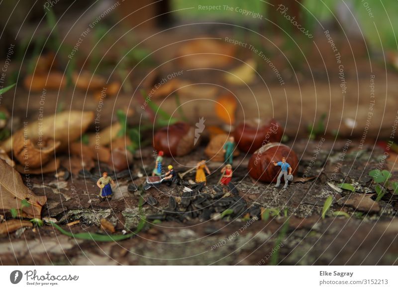 Miniature worlds in gardening.... Human being 6 Miniature figures H 0 Work and employment Stand Determination Uniqueness Colour photo Exterior shot