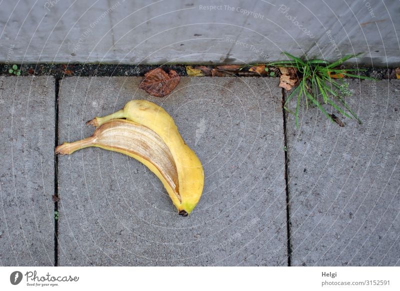 discarded banana skin lies on a pavement of cobblestones Environment Nature Plant Grass Lanes & trails Footpath Banana skin Concrete Lie Authentic Exceptional